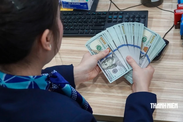 Ngân hàng ồ ạt huy động vốn 'khủng' từ nước ngoài - Ảnh 1.