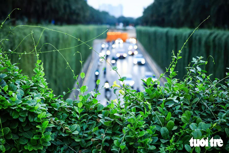 Hình ảnh trụ đường sắt đô thị, hầm chui ở Hà Nội được phủ cây xanh, thêm mảng xanh cho thành phố
